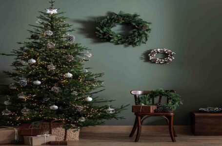 When is the Christmas tree put up? All our advice
