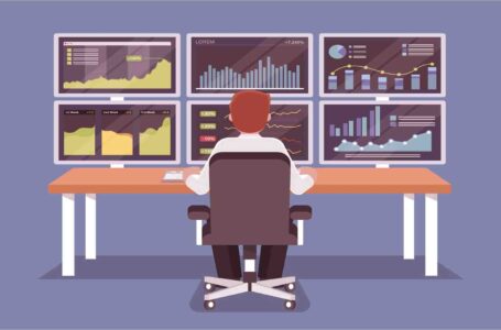 The Role of the Data Manager: Your Roles for Success