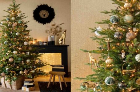 Are you looking for decoration ideas for your Christmas tree?