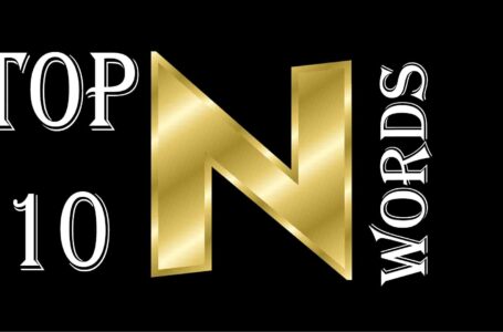 TOP 10 N WORDS YOU MAY WANT KNOW – EVERGREEEN