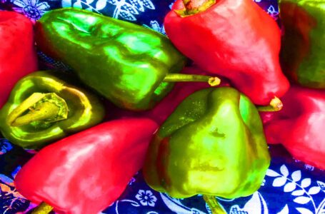 7 recipes to savor poblano chili peppers – Read more interesting