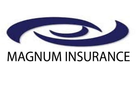Magnum Insurance A Detail Guide for You to Understand