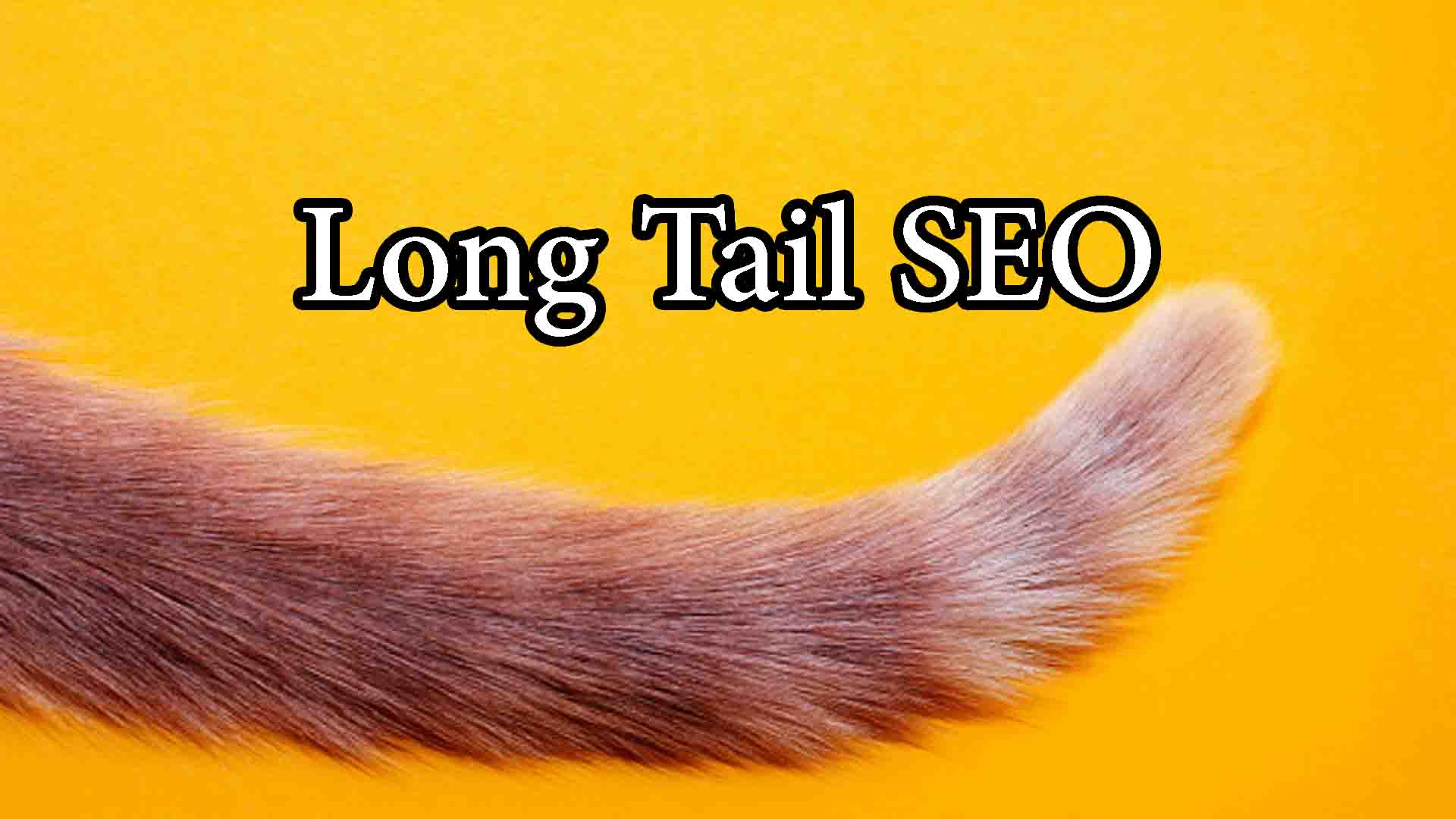 long tail seo